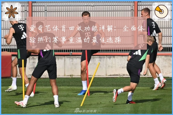 爱奇艺体育回放功能详解：全面体验热门赛事重温的最佳选择